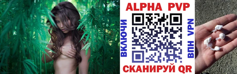 что такое   Сим  A-PVP СК 